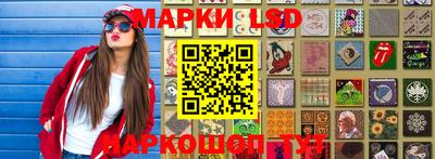СК Гатчина