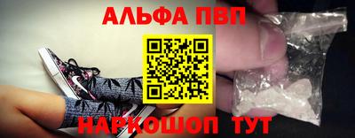 СК Гатчина