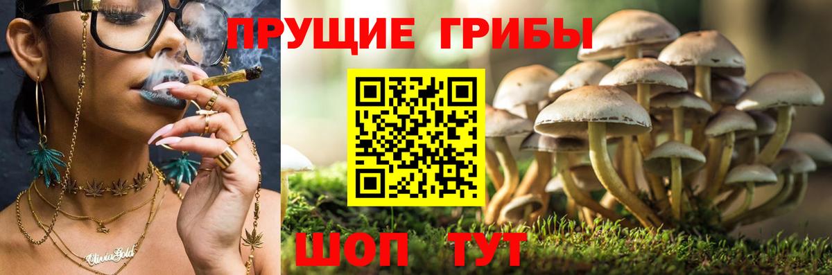 Псилоцибиновые грибы прущие грибы Красногорск
