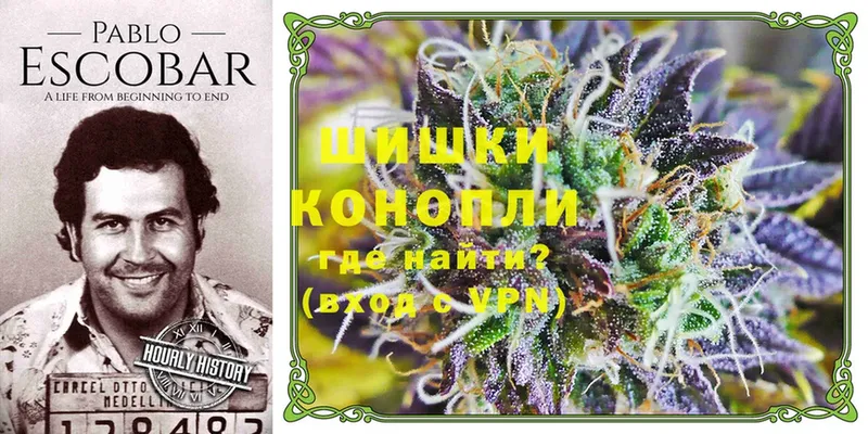 купить   Красногорск  Канабис Bruce Banner 